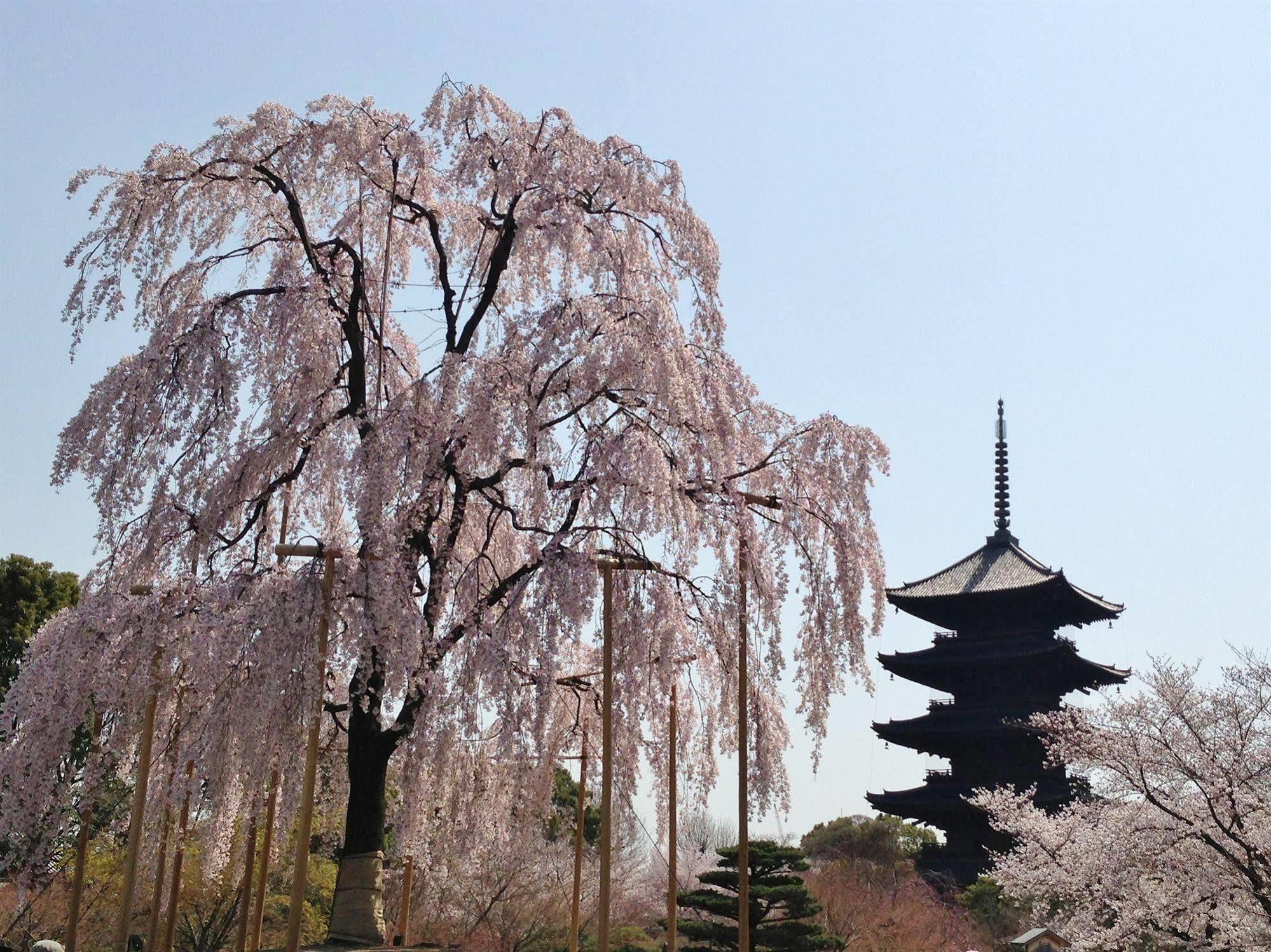 Отель Livemax Kyoto Gojo Экстерьер фото